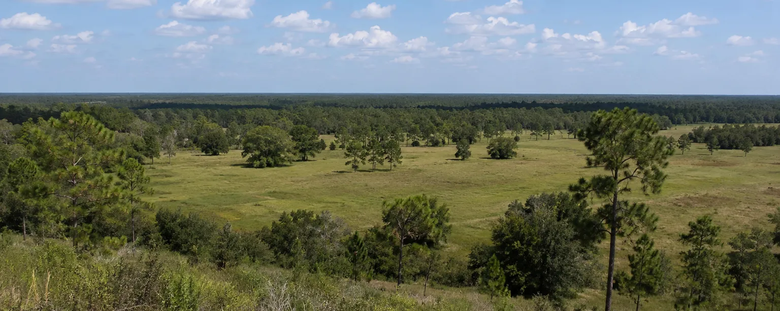 A wide view across open rural acreage and pine treelines in Jackson County, Florida