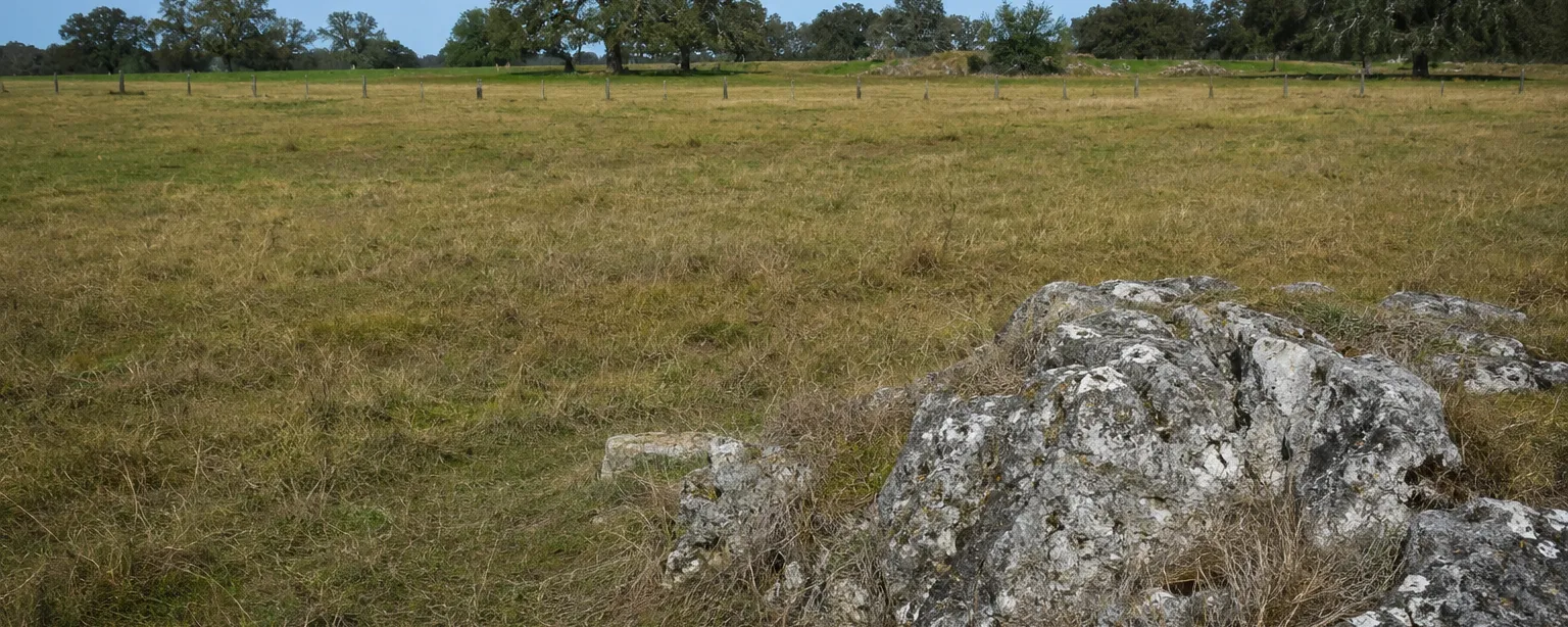 Weathered limestone outcropping at the edge of dry pasture, typical of Jackson County karst country