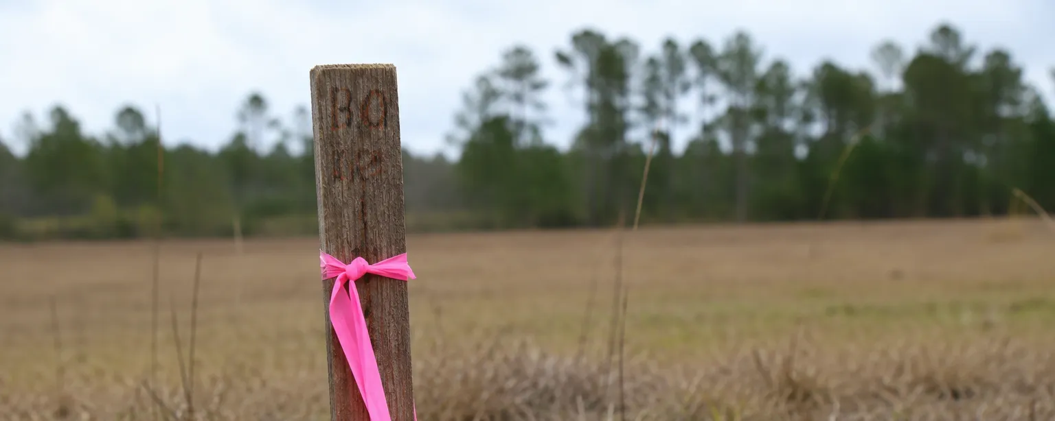 A wooden survey stake with pink flagging tape marking a property corner in dry grass